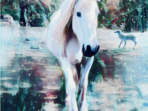 Shadow The Wonder Horse Christmas Card
