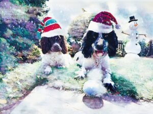 Spaniel Snowball Mischief Christmas Card